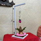 Navratri Stand